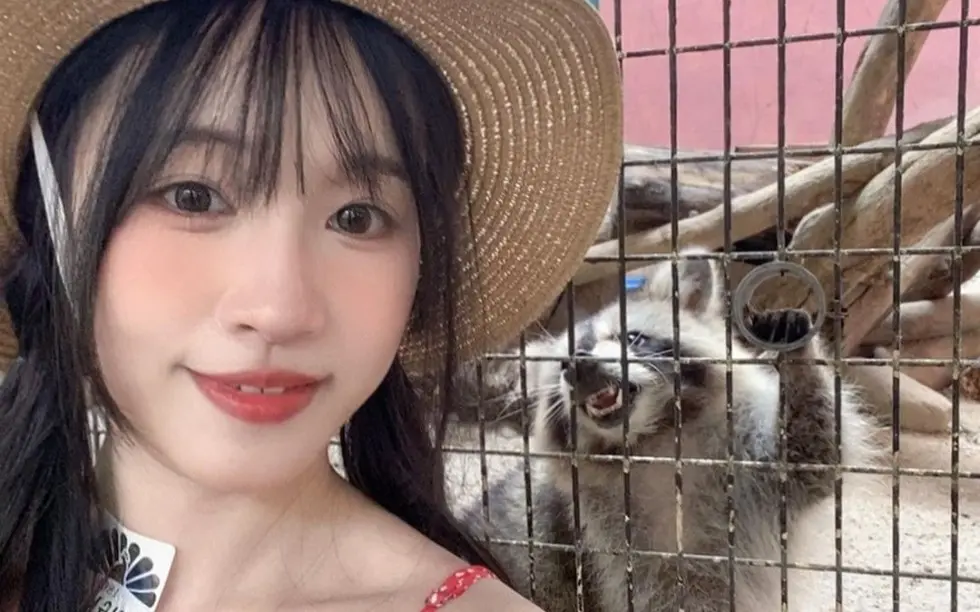 国产女神苏畅vlog视频大全-在线观看全集免费-高清1080p版