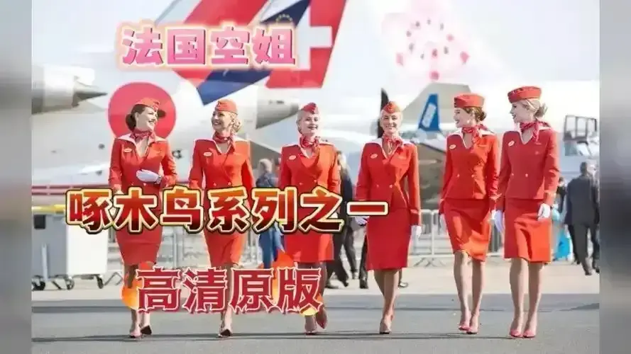 《法国空姐2019/不雅空乘》未删减版HD高清完整资源-法国航空空姐电影全片无广告在线观看-《法国空姐》国语中字无障碍免费播放