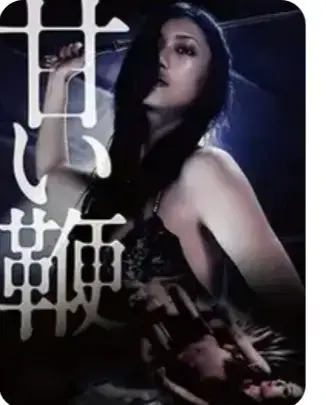 《甜蜜皮鞭》日本电影未删减版HD在线观看-《甜蜜皮鞭》1080P高清中文字幕完整版-剧情片免费播放全集