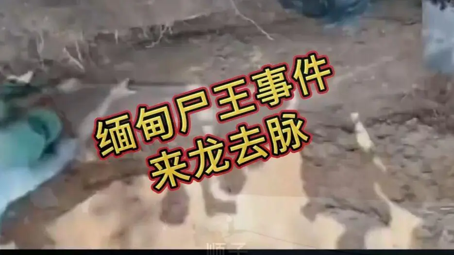《缅甸僵尸出土事件视频》诡异真相解密-缅北僵尸出土事件始末原视频高清下载-完整版在线观看免费播放资源